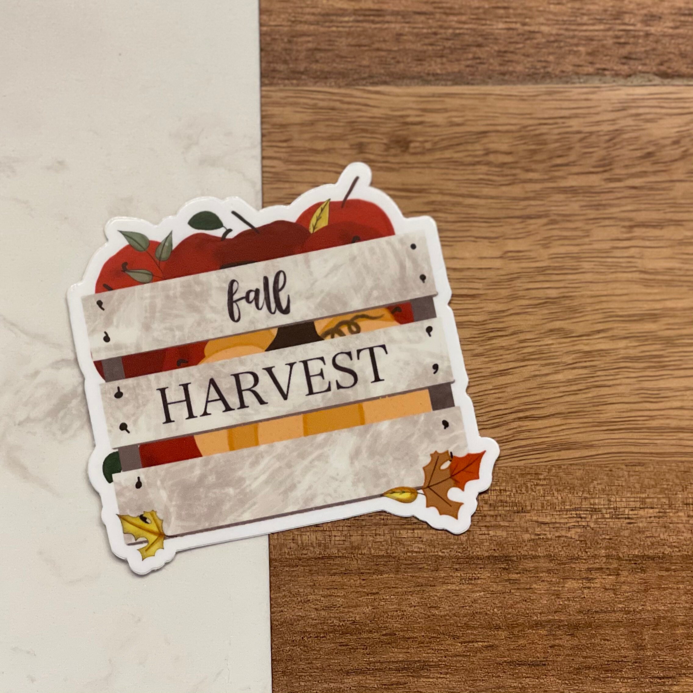 Shop — Fall Collection