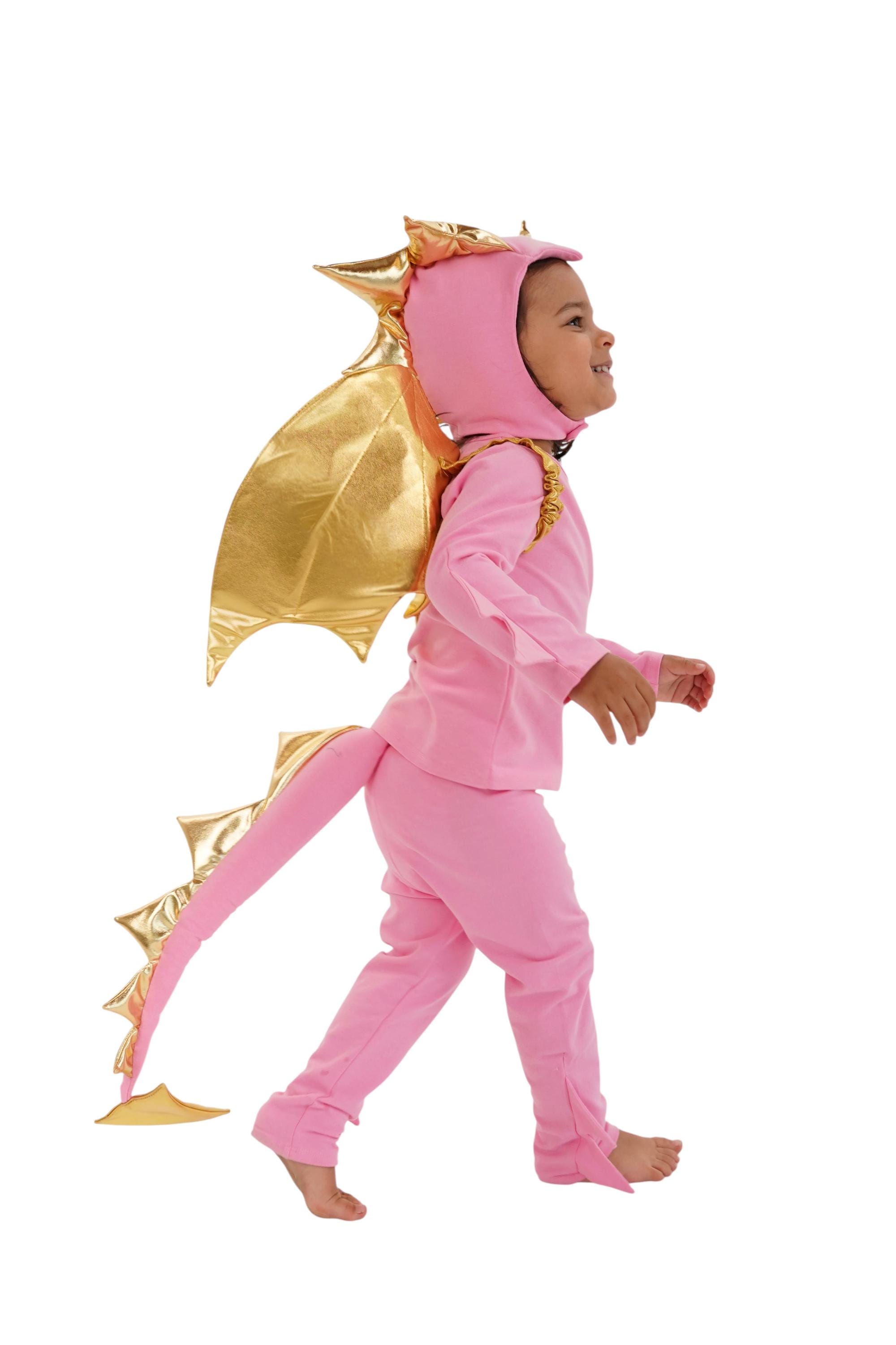 pink dragon dress Pink Dragon Costume With Gold Wings