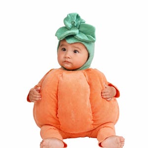 May include: A plush orange pumpkin costume featuring a rounded, padded body with vertical seams, long sleeves, and matching orange pants. The outfit includes a soft green headpiece designed to resemble a pumpkin stem with leaf-like accents.