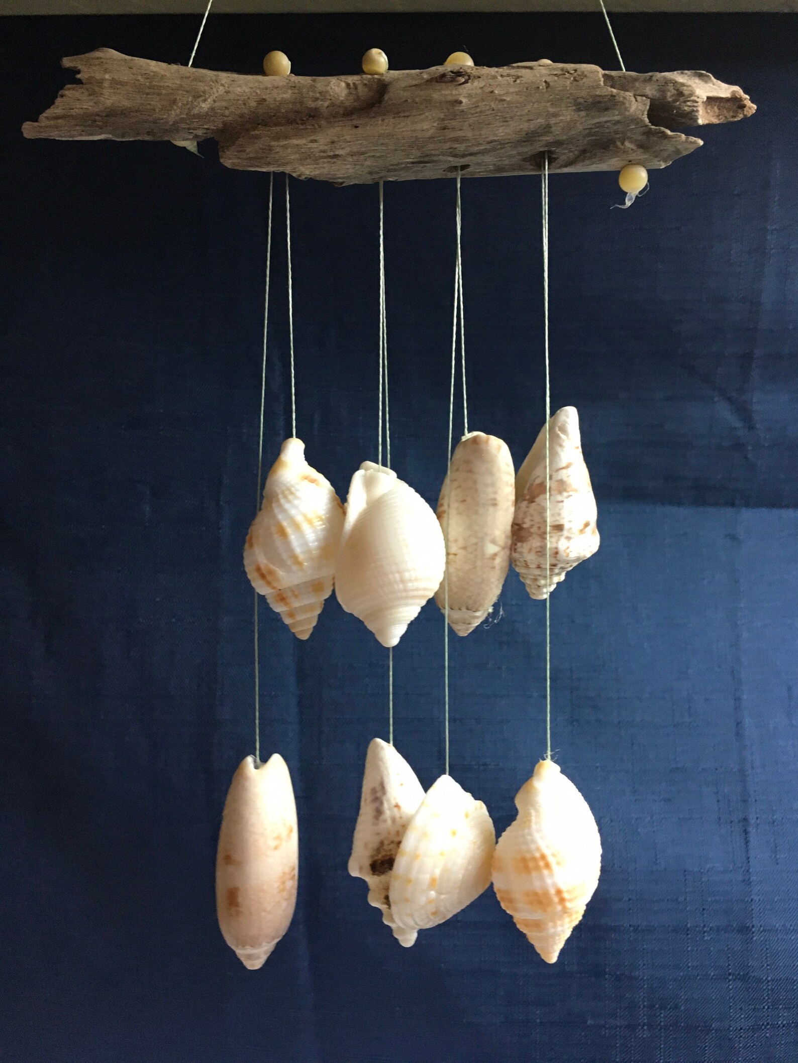 Wall Hanging Driftwood & Shells Etsy