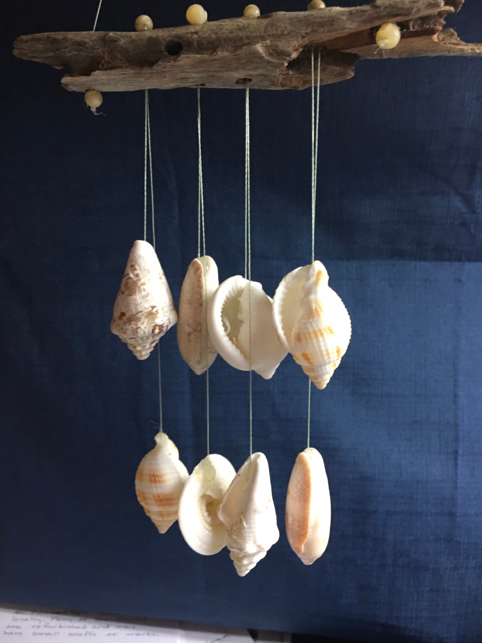 Wall Hanging Driftwood & Shells Etsy