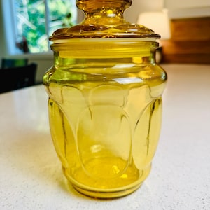 Peut inclure: Un bocal en verre ambré translucide avec un couvercle assorti. Le récipient présente un motif ovale en relief répété sur tout le corps et un bouton de préhension arrondi sur le dessus. Le verre est lisse et laisse passer la lumière.