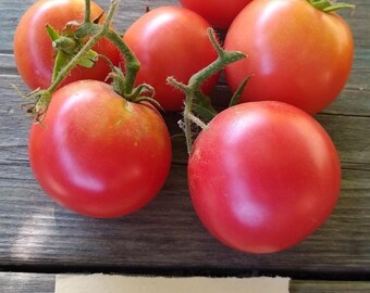 Urbanhomegarden On Etsy