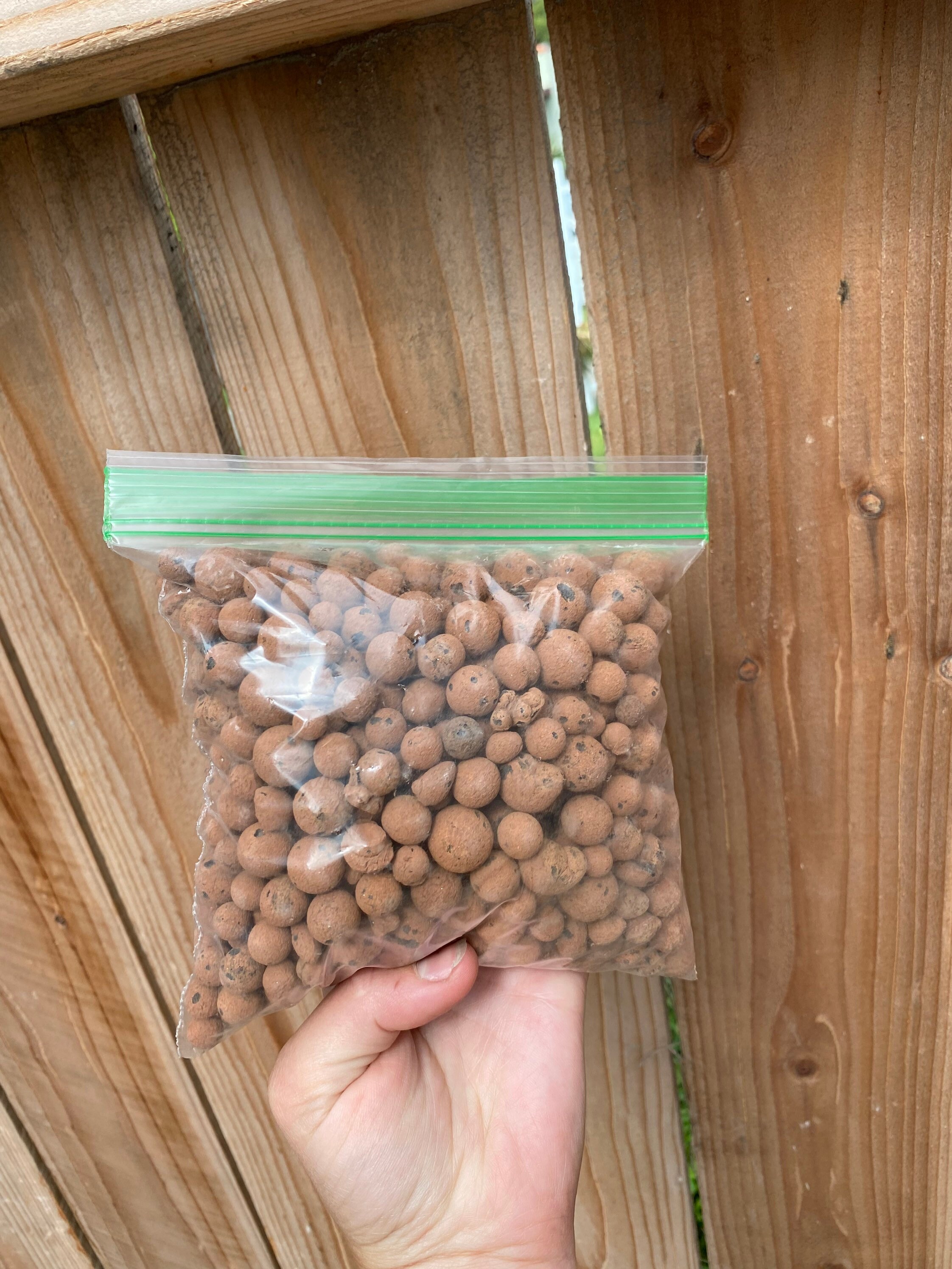Leca Balls Expanded Clay Pebbles Hydroponic Easy to Grow in Etsy Canada
