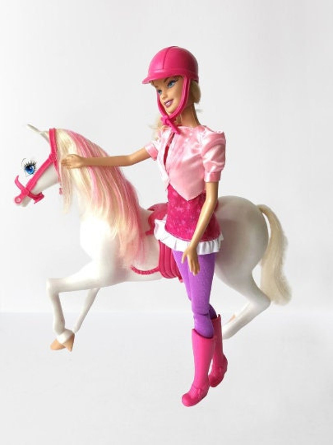 Barbie Doll and Horse Equestrian Barbie Doll DIY Projects Etsy