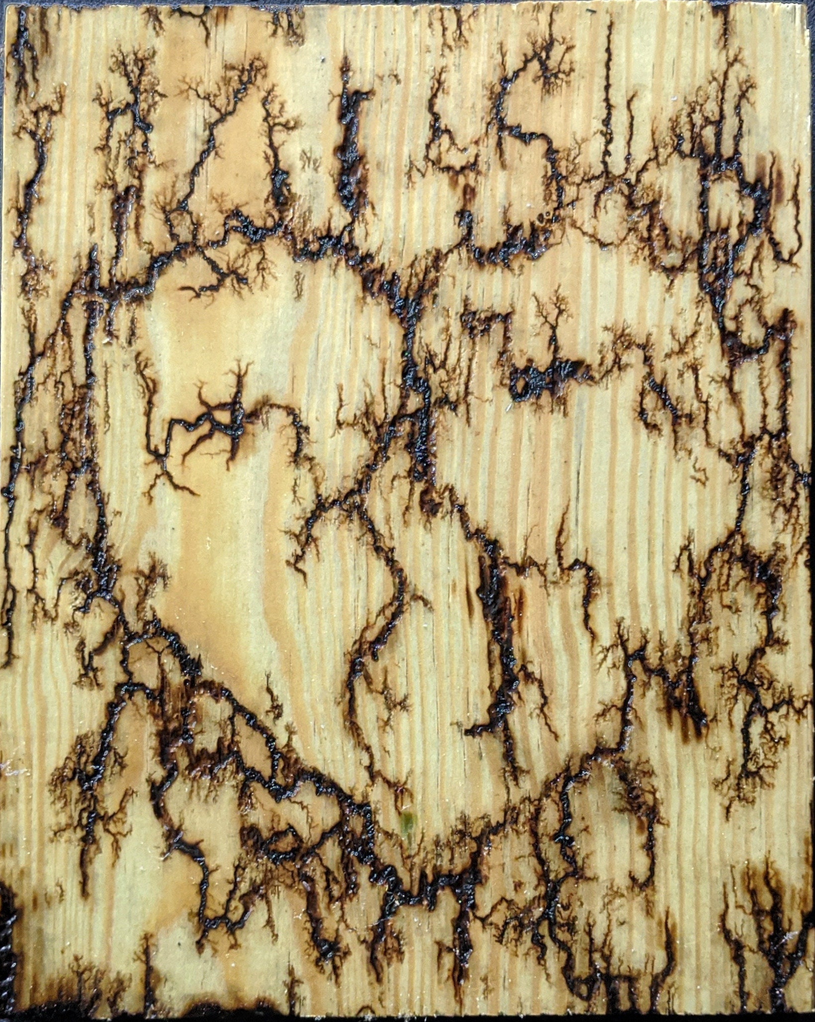 42 Lichtenberg Fractal Pattern - Wood burning with baking soda and