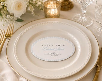 Blue Stripe Wedding Place Card Template, Editable Oval Name Card (Digital Download)