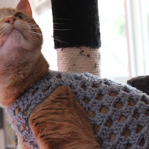 Light Blue Granny Stitch Cat Sweater
