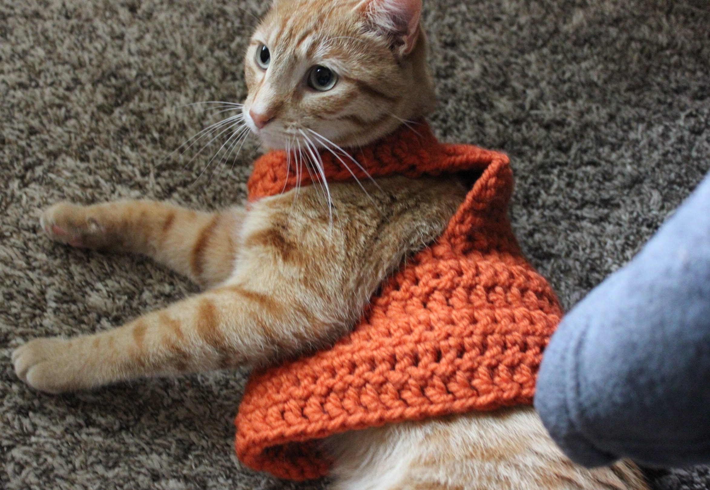 Etsy cat sweater hot sale