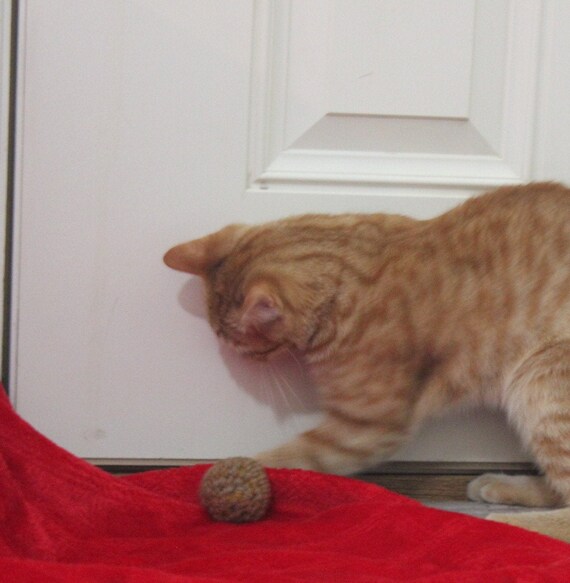 Dusty Gold Crinkle Ball Cat Toy Set Dusty Gold Crinkle Ball Cat Toy Set