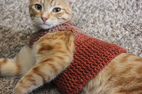 Cat sweater shop etsy