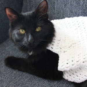Mystery Glow-in-the-Dark Cat Sweater