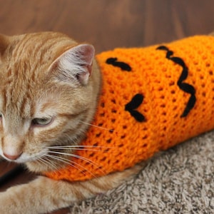 Jack-o-lantern Pumpkin Halloween Cat Sweater