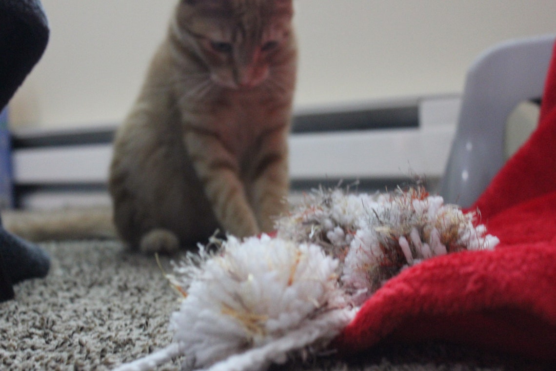Frosted Autumn Fuzzy Puffball Cat Toy Set Etsy