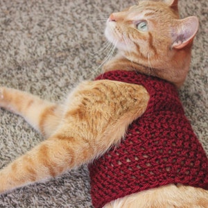 Shiny Merlot Cat Sweater