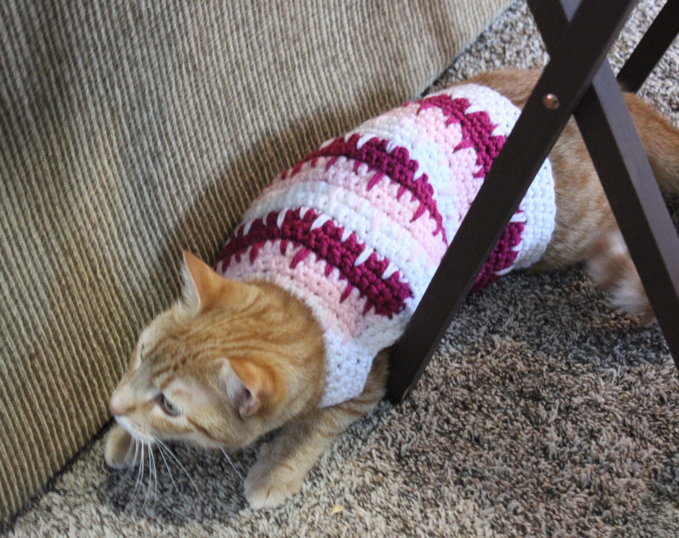 Cupid's Arrow Cat Sweater 
