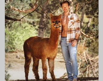 Alpaca & Hunk calendar 2024