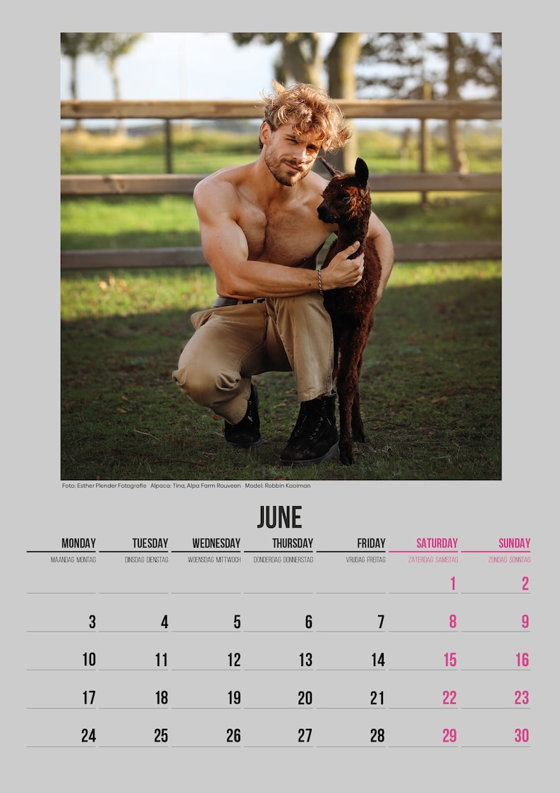 Alpaca & Hunk Calendar 2024 Etsy Australia
