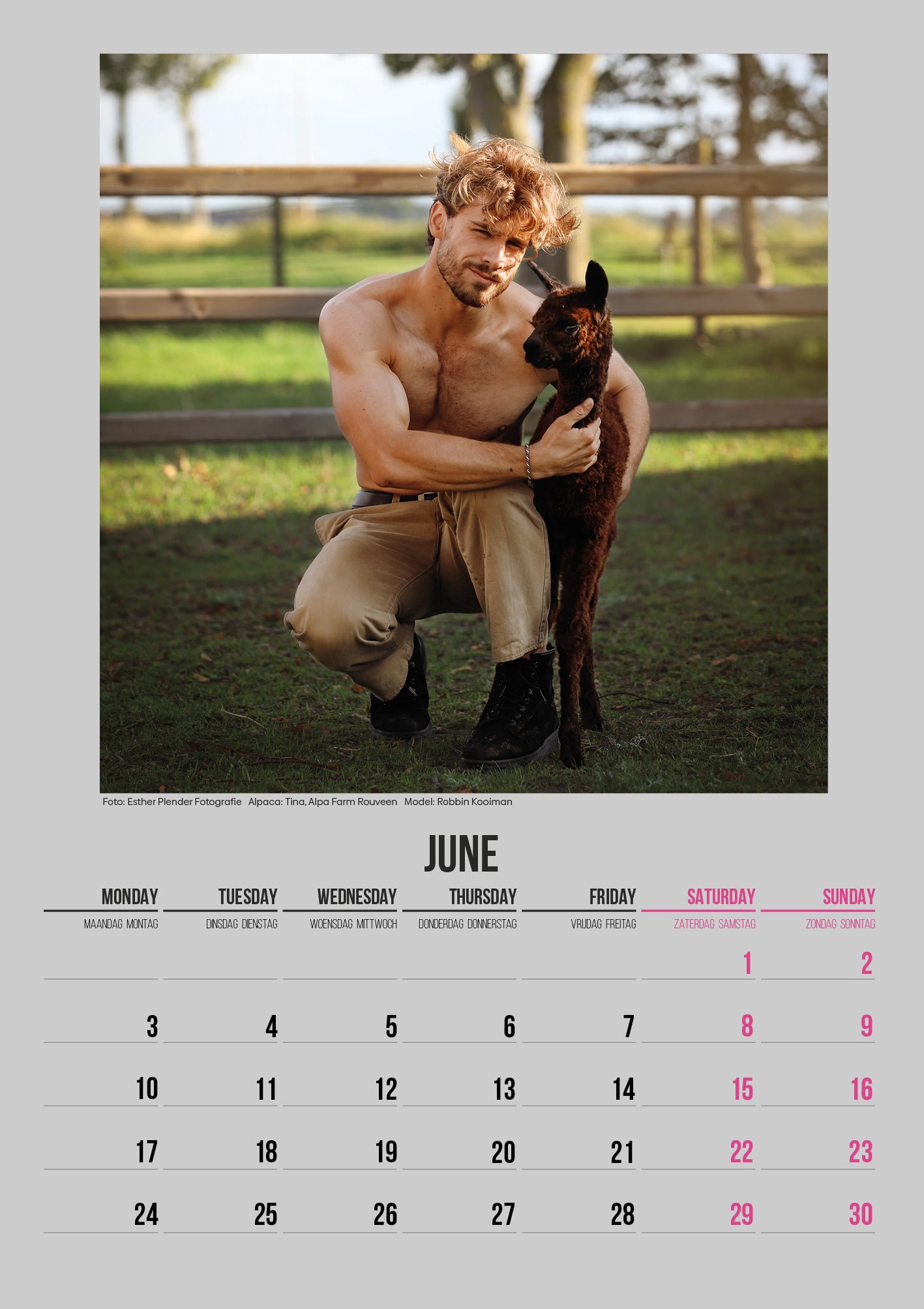 Alpaca & Hunk Calendar 2024 Etsy