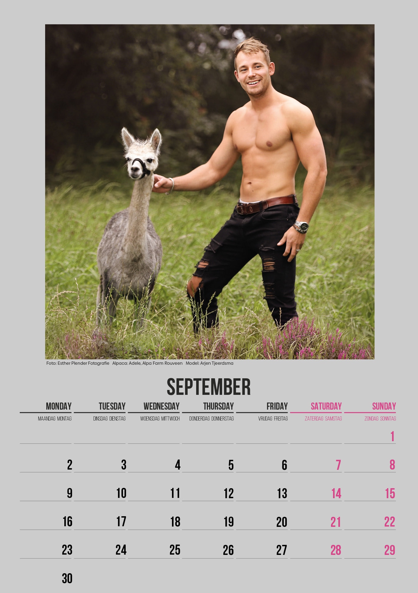 Alpaca & Hunk Calendar 2024 Etsy