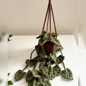 crochet hanging plant/ gift idea