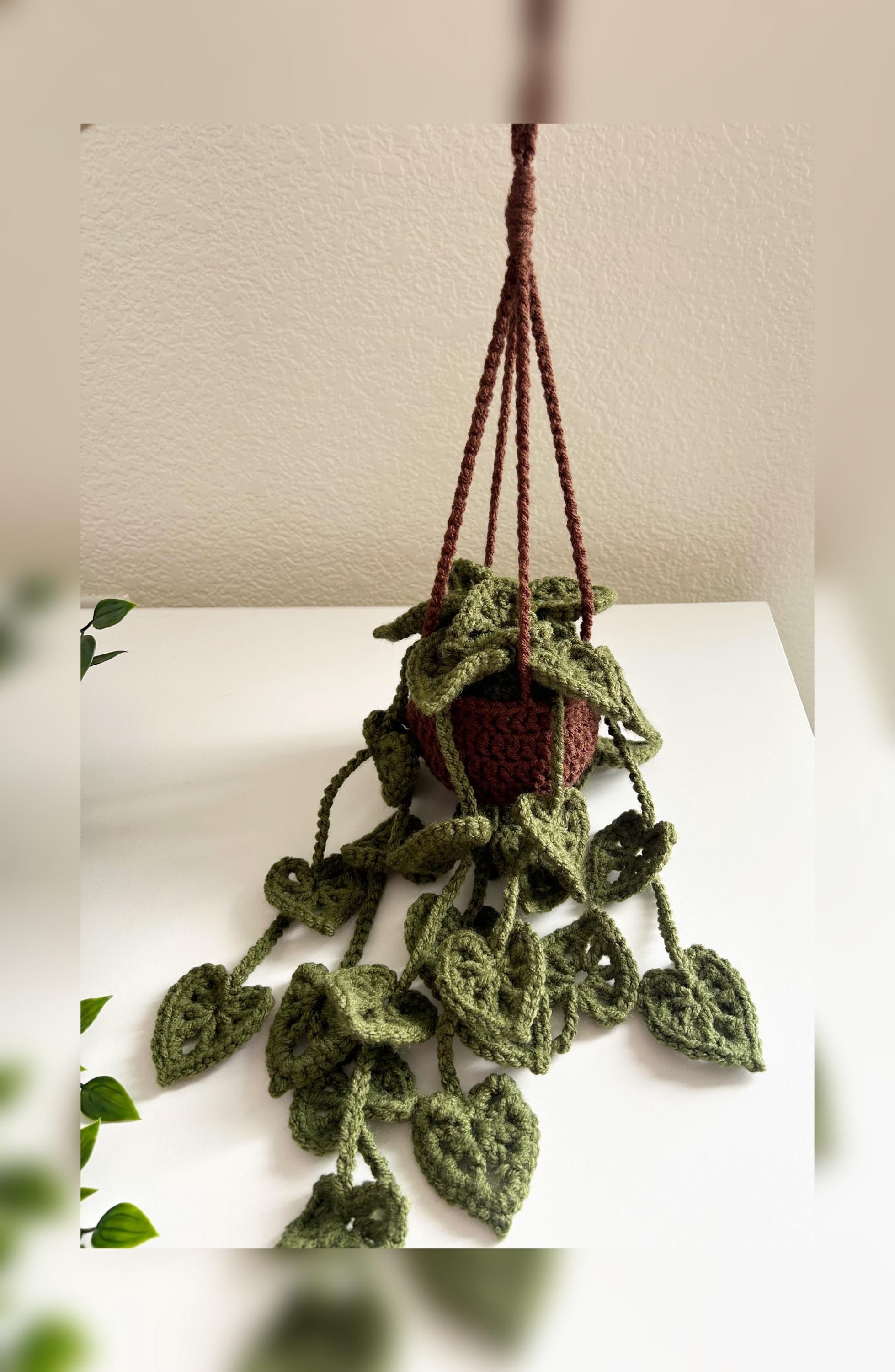 crochet hanging plant/ gift idea