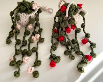 crochet hanging plants/ gift ideas