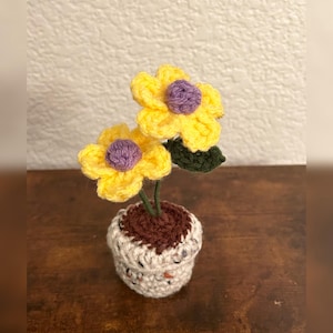 crocheted potted flowers / gift ideas