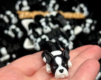 Boston Terrier fidget toy, 3D printed dog, bull terrier fidget toy, desk knickknack, flexi gift idea, dog flexi fidget, autism fidget toy