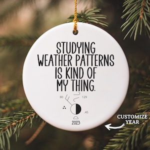 Meteorologist Ornament, Weather Ornament, Meteorology, Meteorology Student, Meteorologist Gifts, Meteorology Gift, Weather Gift, Climatology