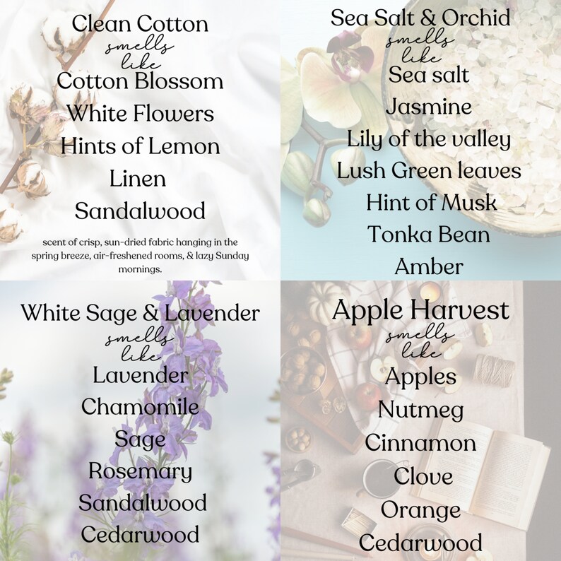 Puede incluir: Cuatro im&aacute;genes cuadradas con texto que describe diferentes aromas. Los aromas son Algod&oacute;n limpio, Sal marina y orqu&iacute;dea, Salvia blanca y lavanda, y Cosecha de manzana. Cada aroma se describe con una lista de palabras que representan el aroma.