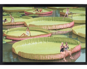 Retro Water Lilies
