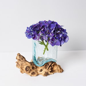 Blown Glass on Driftwood, Vase, Natural Piece, Molten Glass, Terrarium, Artwork, Hand Blown Recycled Glass, Table Decor, Gift for Mom