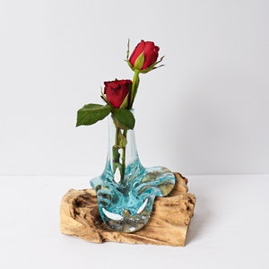 Blown Glass on Driftwood, Vase, Gamal, Molten Glass, Terrarium, Hand Blown Recycled Glass, Housewarming, Home Table Decor, Gift for Mother