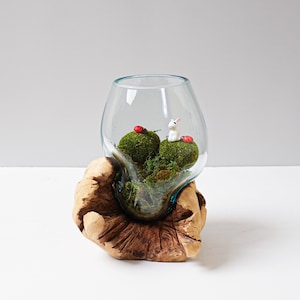 Molten Glass on Recycled Glass, Blown Glass, Terrarium, Unique Vase, Succulent Planter, Room Decoration, Home Table  Decor, Gift for Her