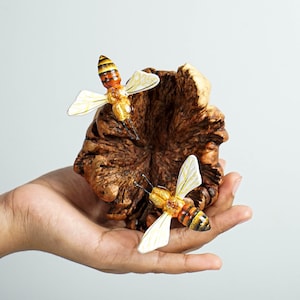 Abejas en panal, abeja de colores, estatua de abeja, decoración tropical, hecha a mano, figura de madera, pieza natural, decoración de pared de abeja, arte de pared, regalo para amigos
