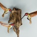 see more listings in the Bird Sculptures section