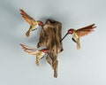 Hummingbird Wall Decor, Hanging Statue, Family, Bird on a Tree, Unique Sculpture, Colibri, Wall Decor, Family Decor, Gift for Mother product logo