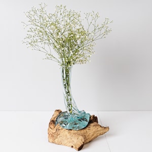 Blown Glass on Driftwood, Vase, Gamal, Molten Glass, Terrarium, Hand Blown Recycled Glass, Housewarming, Living Room Decor, Appreciated Gift