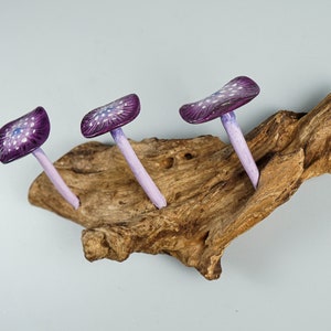 Purple Mushroom Wall Hook, Wooden Decor, Artwork, Handmade, Nature, Handcrafted, Key Holder, Backdoor Decor, Graduation Gifts for Him