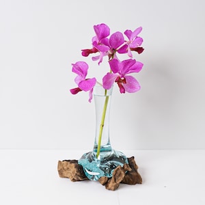 Blown Glass on Driftwood, Gamal, Molten Glass, Terrarium, Hand Blown Recycled Glass, Natural Piece, Housewarming Decor, Gift for Mother