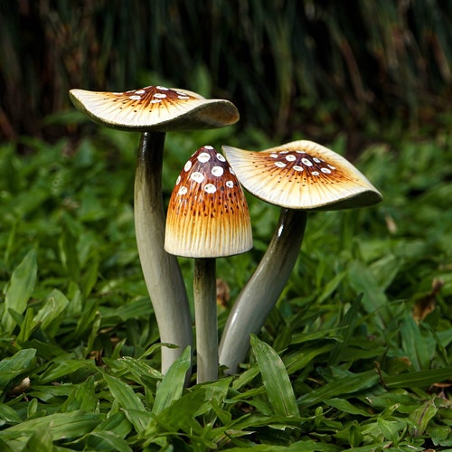 Garden Mushroom Decoration, Brown Mushroom, Outdoor Art, Sculpture, Painted Statue, Waterproof, Garden, Decorative, Gift for Grandfather