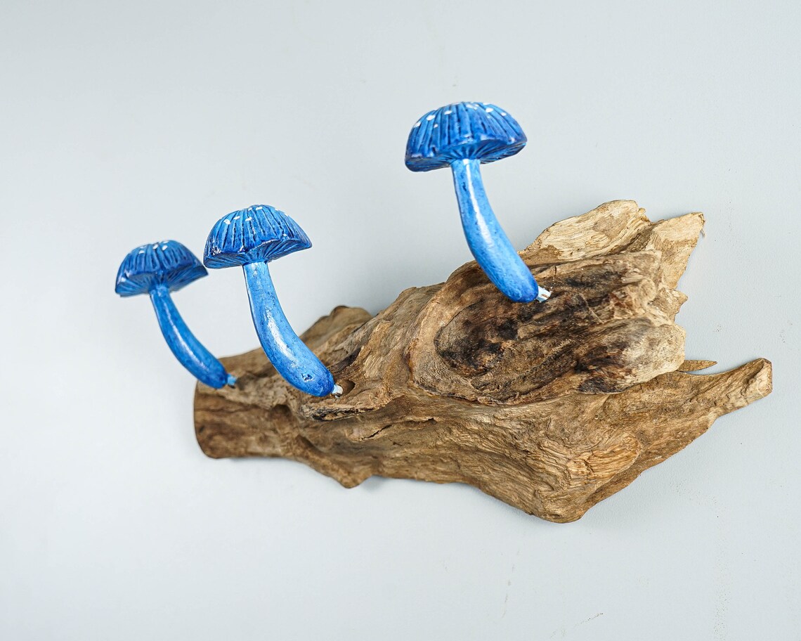 Blue Mushroom Wall Hook Wooden Decor Art Key Holder Etsy