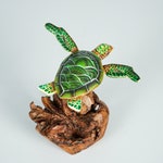 Turtle Home Decor