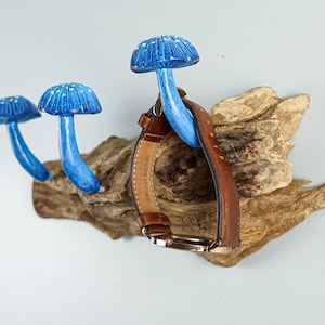Blue Mushroom Wall Hook, Wooden Decor, Handcrafted, Art, Hand Painted, Jewelry Holder, Woodland, Storage, Rustic, Gift for Girlfriend