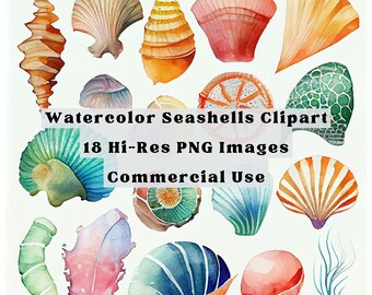 Watercolor Sea Shells Clipart Instant Download  - Commercial Use - Seashell Clip Art - Seashell Graphic - Watercolor Seashells Clipart Set