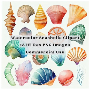 Watercolor Sea Shells Clipart Instant Download  - Commercial Use - Seashell Clip Art - Seashell Graphic - Watercolor Seashells Clipart Set