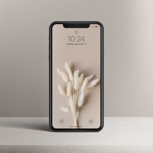 Könnte beinhalten: Ein schwarzes Smartphone mit weißem Hintergrund, das einen Sperrbildschirm mit der Uhrzeit 10:24 und dem Datum Dienstag, 13. September anzeigt. Das Hintergrundbild ist ein Strauß weißer Pampasgräser.