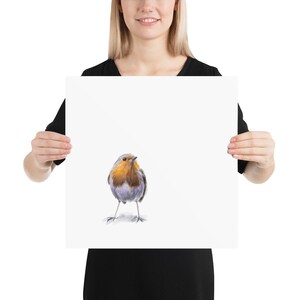 May include: A watercolor painting of a robin bird with a red breast, gray wings, and a yellow beak. The bird is standing on a white background.