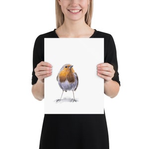May include: A watercolor painting of a robin bird with a red breast, gray wings, and a white belly. The bird is standing on a white background.